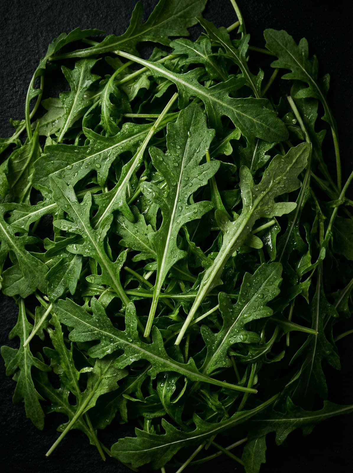A heap of fresh green rocket leaves