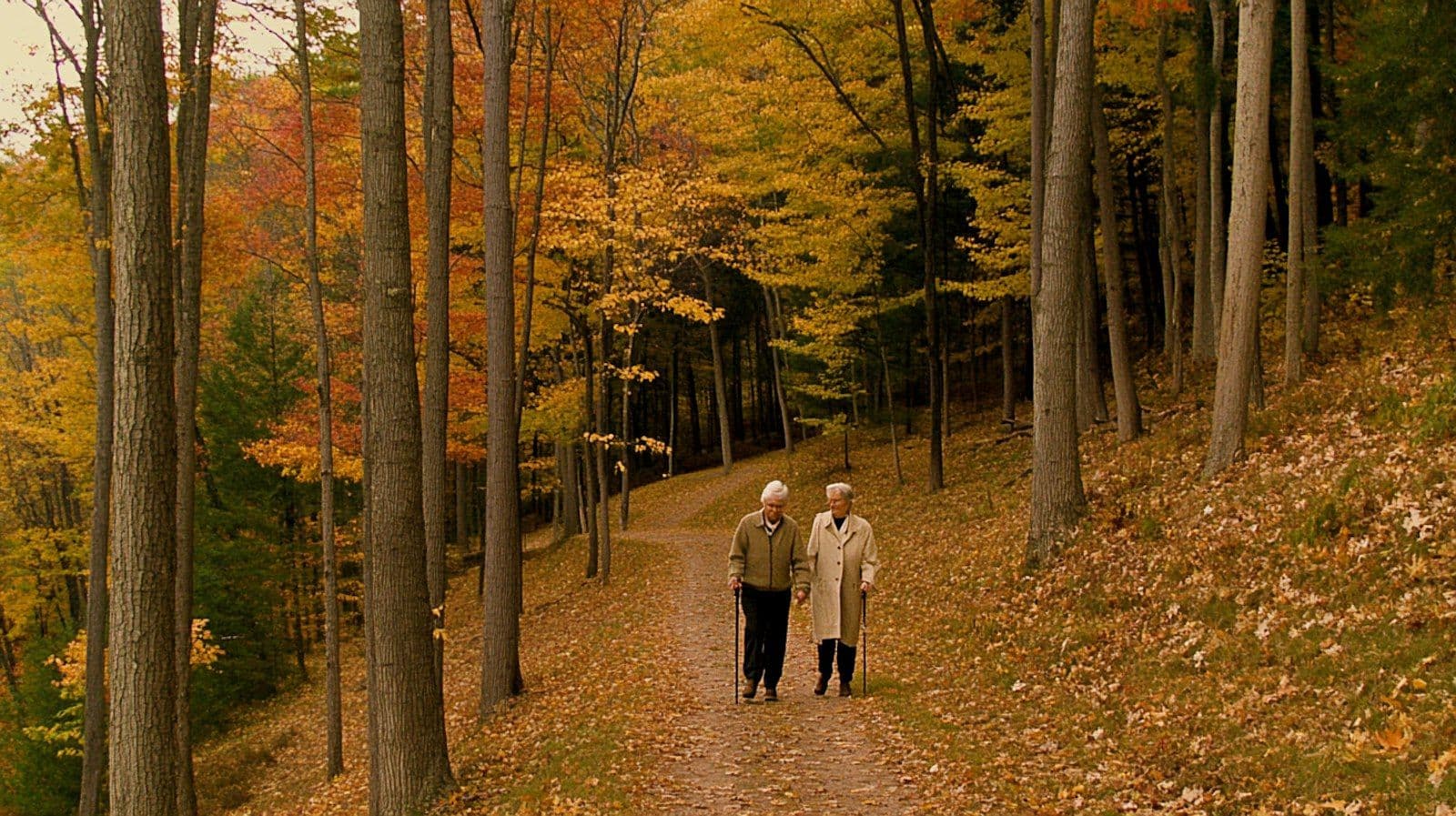 An older couple walking together through an autumn forest